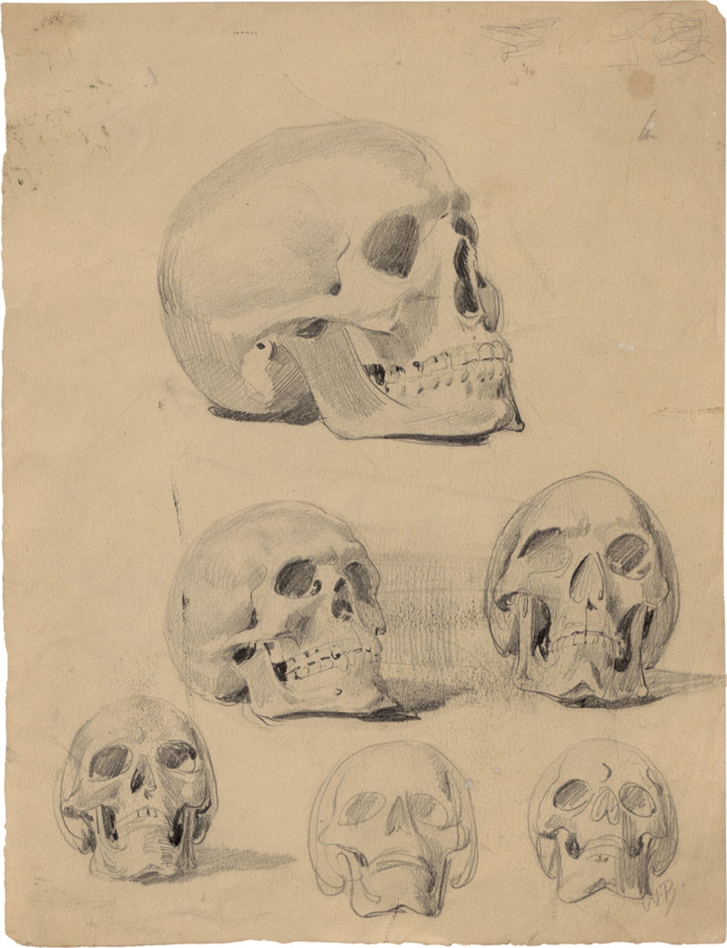 Busch, Wilhelm: Sechs Schädelstudien