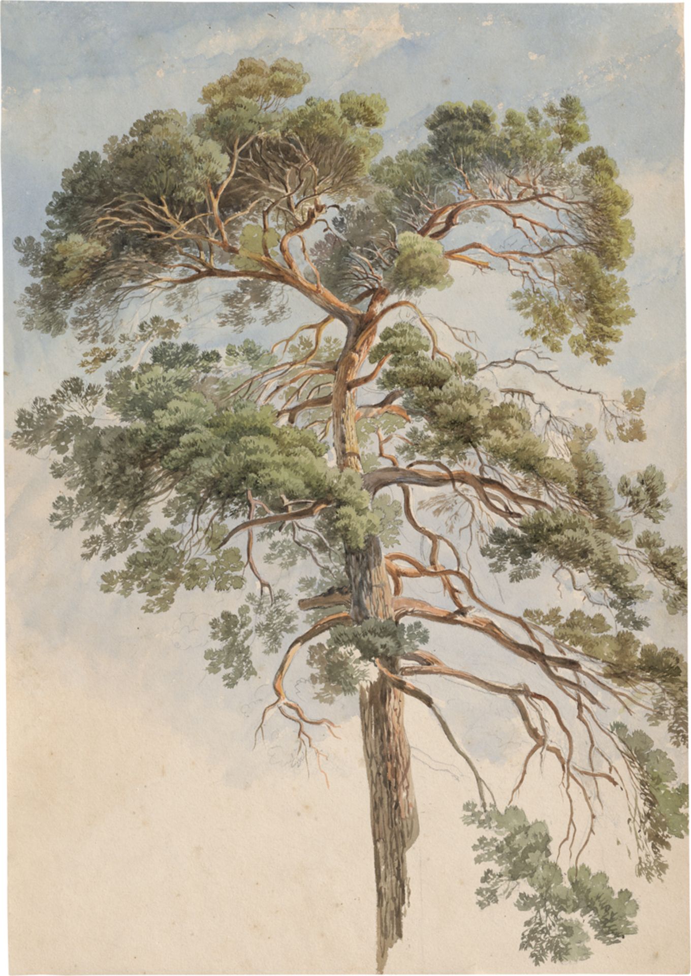 Frommel, Carl Ludwig: Baumstudie