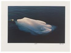 Mack, Heinz und Höpker, Thomas: Expedition in künstliche Gärten