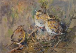 Mabel Dawson (Scottish, 1887 - 1965) - Baby Robins in a nest - Gouache on linen - 21.5 x 30.