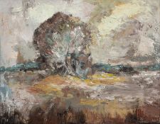 Continental School, 20th Century - Landscape - Oil on board - 34.5 x 44.