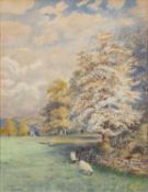 Georgina De L'Aubiniere (British, 1848-1930) - A summer meadow - Watercolour on paper - 32.