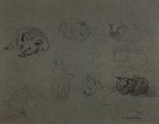 * Katharine (Kate) Cameron (Scottish,