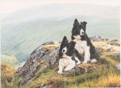 * Steven Townsend (British, b 1955) - 'End of a working day' a study of two border Collies