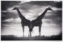 Björn Persson (Swedish, Contemporary) - 'Never Alone'