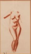 20th Century British school - Two nude life studies - Red chalk or conte crayon on paper - 45 x