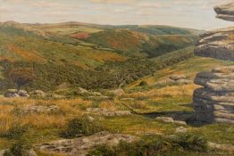 * David William Young (British, 20th Century) - Combestone Tor - Dart Valley -