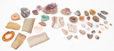 A collection of geological specimens and shells.