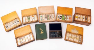 A mixed collection of microscope slides in seven wooden boxes.