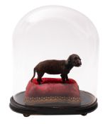 A taxidermy Black Labrador puppy (Canis familiaris) full mount on a red cushion with pierced gilt