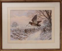 John Paley (British, 20th/21st Century) - Woodcock in flight in winter - Gouache on paper