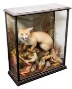 A late 19th/early 20th Century taxidermy model of a fox hunting a rabbit.