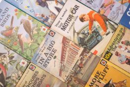 Ladybird, an extensive single owner collection of books and collectables.