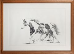 Allie Giles (British, Contemporary) - Study of a mare with her foal - Pen and ink on paper