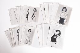 Erotica. A collection of photographic nudes studies