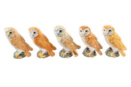 A group of five Beswick Barn Owls, model 1046, 19cm high.