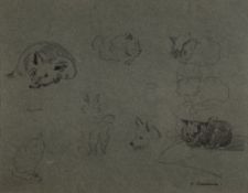 * Katharine (Kate) Cameron (Scottish, 18