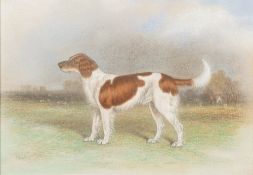 19th Century British School -