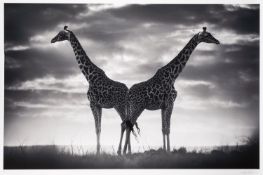 Björn Persson (Swedish, Contemporary) - 'Never Alone'