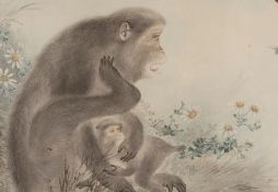 19th or early 20th Century Japanese school - Monkey with infant