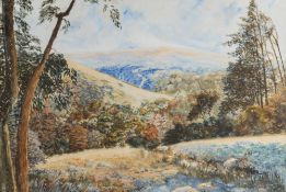 H W Plowman (20th Century) - 'Dunkery' a landscape scene - Watercolour on paper - Signed lower