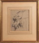 18th Century school - Study of a long horned goat - Chalk on paper - 16 x 14cm,