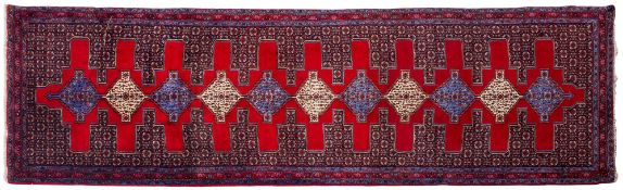A Senneh runner,
