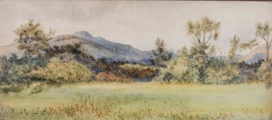 Katherine McLean Holmes, (New Zealander, 1849-1925) - 'Khandalla' a study of trees in New Zealand