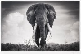 Björn Persson (Swedish, Contemporary) - 'Mother Africa'