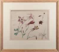 * Attributed to Vernon de Beauvoir Ward (British,