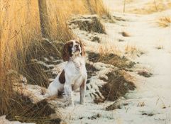 * Steven Townsend (British, b 1955) - Study of a Springer Spaniel in the snow