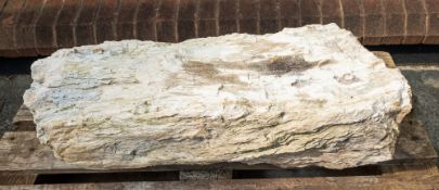 A specimen of ancient petrified wood, 92cm long