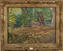 Enslin Hercules De Plessis (South African,