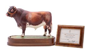 A Royal Worcester porcelain model of a Dairy Shorthorn Bull