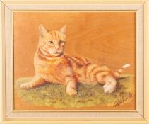 A group of pictures to include; Tess