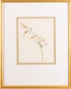 19th Century school with attribution to