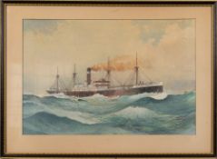 McDowell, probably William John Patton M