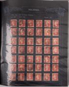 Great Britain. A specialised collection of 1d red J Flaws and others, written up. Requires viewing.