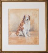 Alma Webb (?) (Early 20th Century) - A seated collie - Pen and ink with watercolour -