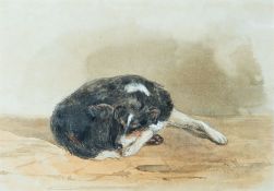 John Henry Mole (British, 1814-1886) - Study of a collie dog