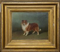 Frederick French (British, act. 1883-1916) A study of a collie dog - Signed and dated 'FRED. FRENCH.