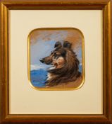 Henry Hope Crealock (British, 1831-1891) - 'Jock' a head study of a sheepdog