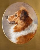 Frank Paton (British, 1855 - 1909) - A champion collie