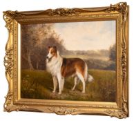 C.L. Mason (Early 20th Century) - A collie in a landscape - Oil on canvas