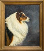 Lucy Waller (British, 1856-1908) - 'Stracathro Ralph' a study of a collie - Signed,