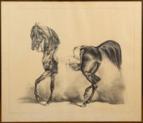 20th Century school - Study of a horse - Pencil - Indistinctly signed Michael ??? and dated 1993