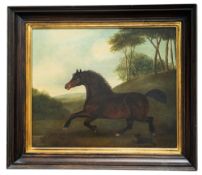 19th Century English school - A dark bay horse with a dog in a landscape - Oil on canvas