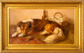 E. Steinthal (late 19th Century school) - A study of a recumbent collie - Oil on canvas