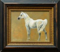 Judi Kent Pyrah (British, 20th Century) - An Arab horse - Signed dated 'Judi Kent Pyrah 00'