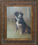 In the manner of Maud Earl (1864 - 1943) - 'Sheepdog' - Oil on board - Handwritten inscription
